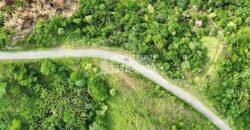 Development,Roatan Honduras, Land For Sales 17.15 ACRES