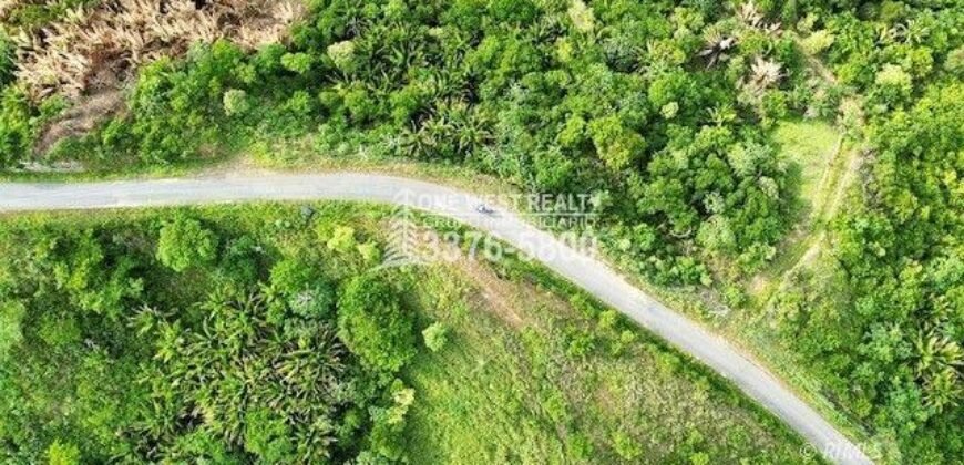 Development,Roatan Honduras, Land For Sales 17.15 ACRES