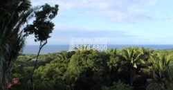 Gibson Bitght sales in Roatan, Honduras