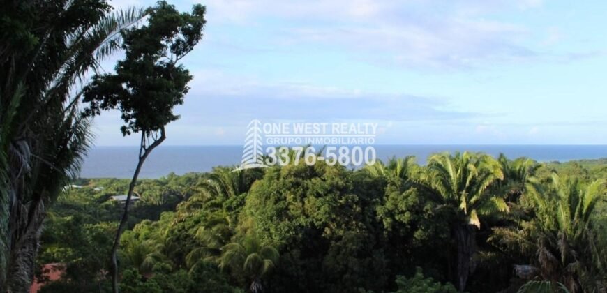 Gibson Bitght sales in Roatan, Honduras