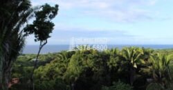 Gibson Bitght sales in Roatan, Honduras