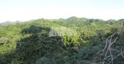 Gibson Bitght sales in Roatan, Honduras