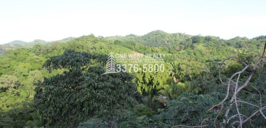 Gibson Bitght sales in Roatan, Honduras