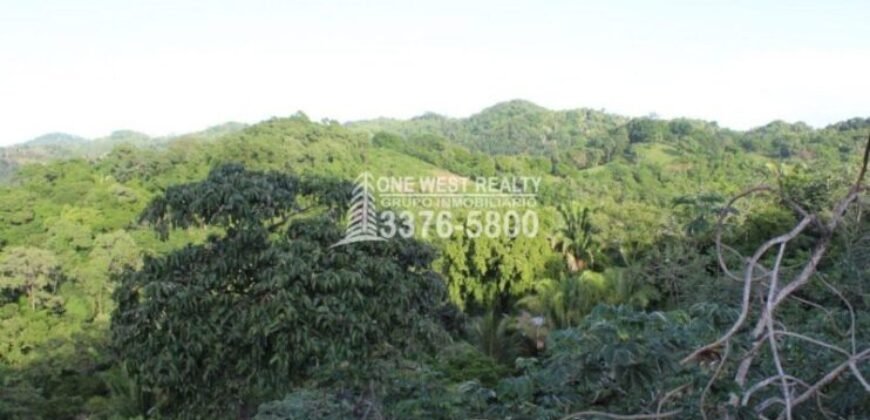 Gibson Bitght sales in Roatan, Honduras