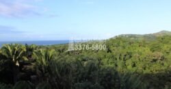 Gibson Bitght sales in Roatan, Honduras