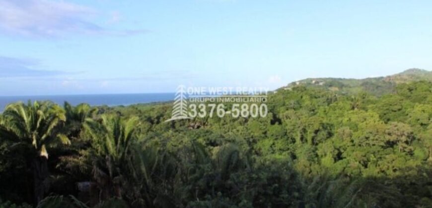 Gibson Bitght sales in Roatan, Honduras