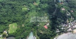 Oak Ridg, Homes and Condos 56 Acres, Roantan Honduras