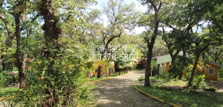 Oak Ridg, Homes and Condos 56 Acres, Roantan Honduras
