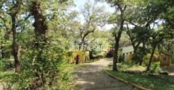 Oak Ridg, Homes and Condos 56 Acres, Roantan Honduras