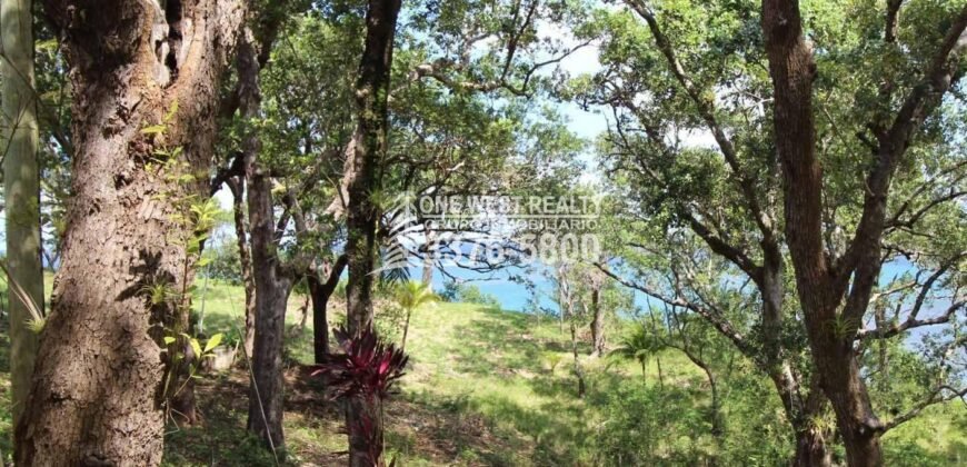 Oak Ridg, Homes and Condos 56 Acres, Roantan Honduras
