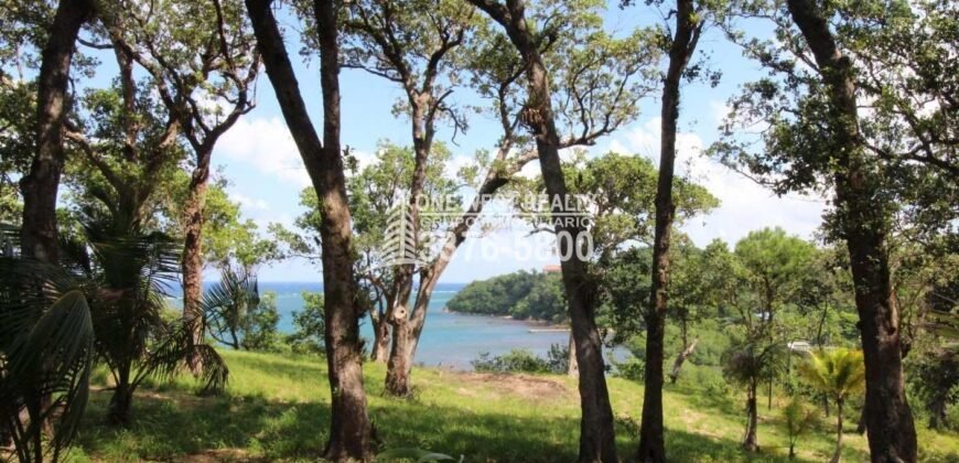 Oak Ridg, Homes and Condos 56 Acres, Roantan Honduras