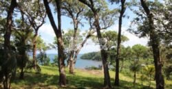 Oak Ridg, Homes and Condos 56 Acres, Roantan Honduras