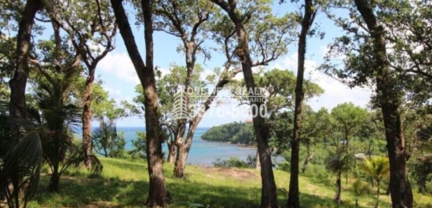 Oak Ridg, Homes and Condos 56 Acres, Roantan Honduras