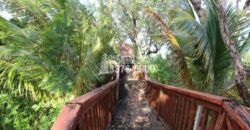 Oak Ridg, Homes and Condos 56 Acres, Roantan Honduras