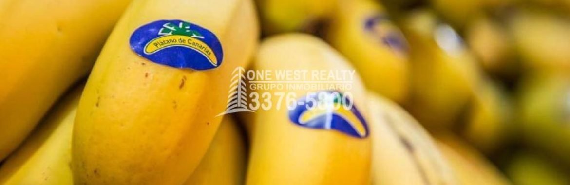 Honduras reanuda exportación de plátanos a Inglaterra tras tres años de receso