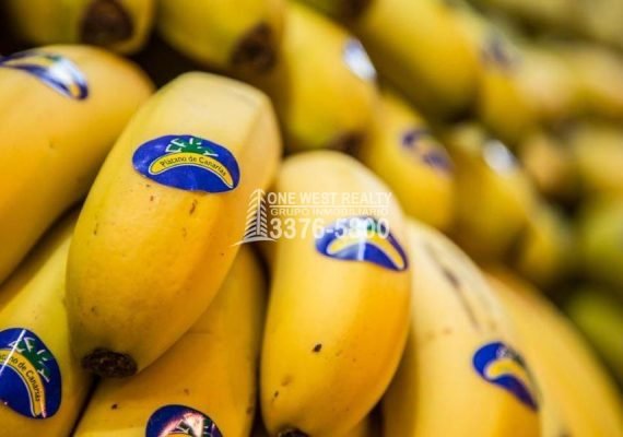 Honduras reanuda exportación de plátanos a Inglaterra tras tres años de receso