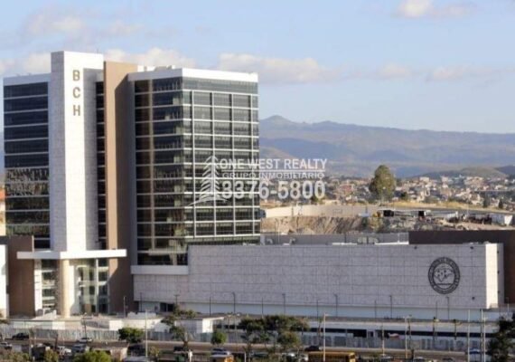 Economía hondureña registra un incremento del 4,8% enero según el IMAE