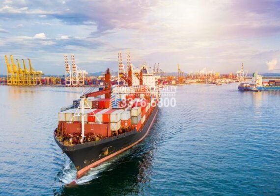 Omoa on the Global Competitiveness Route with the Cruise Terminal and Port Services