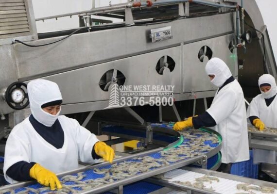 Honduras busca soluciones ante desafíos en la industria camaronera y avanza en negociaciones con China