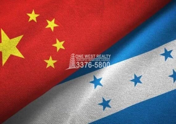 Descubre el valor que China propone por el camarón de Honduras