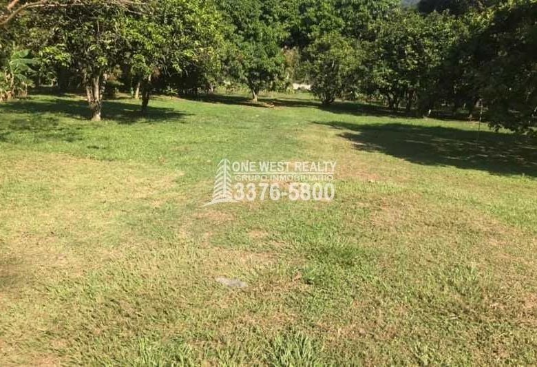 terrenos Residenciales en renta
