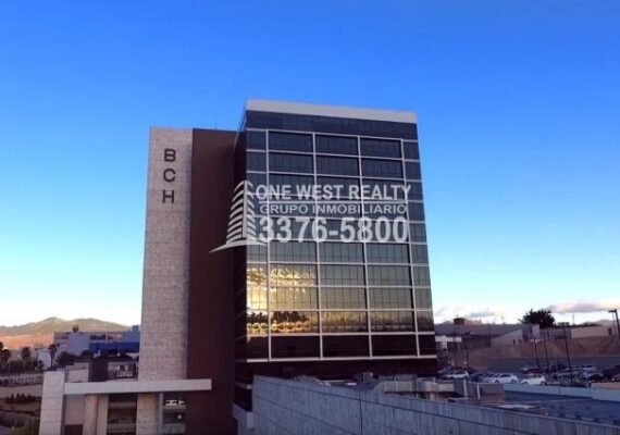 Incremento en la Demanda de Divisas del BCH