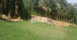 Jutiapa Atlántida Casa Grande En Venta a Orilla de Carretera Jutiapa Atlántida Casa Grande En Venta a Orilla de Carretera