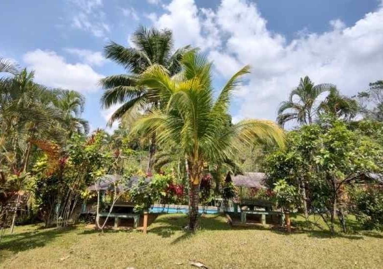 Finca Turística en Venta con Parque Acuático, Apartamentos y Restaurante
