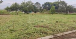 Oportunidad de Inversión en Residencial Quintas del Sol – Lote en Venta l 558 varas²