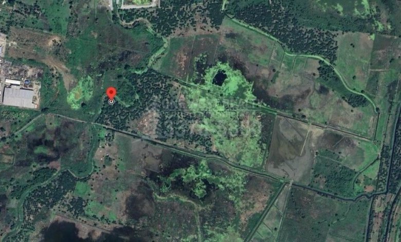 TERRENO INDUSTRIAL EN VENTA EN CHOLOMA CORTES