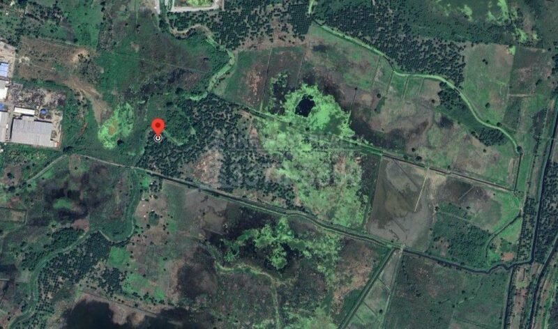 TERRENO INDUSTRIAL EN VENTA EN CHOLOMA CORTES