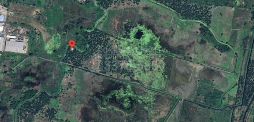 Terreno Industrial en Venta – Choloma, Cortés