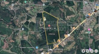 Terreno Para Inversión en Comayagua Mide 96 manzanas Cerca de Palmerola