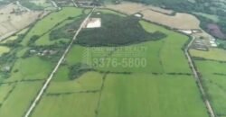 Terreno Para Inversión en Comayagua Mide 96 manzanas Cerca de Palmerola
