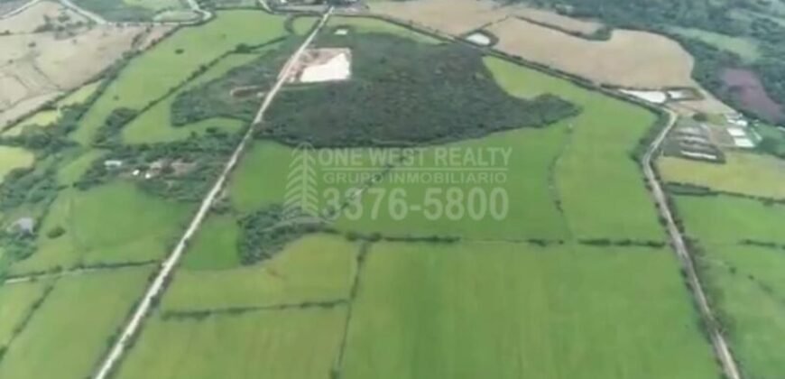 Terreno Para Inversión en Comayagua Mide 96 manzanas Cerca de Palmerola