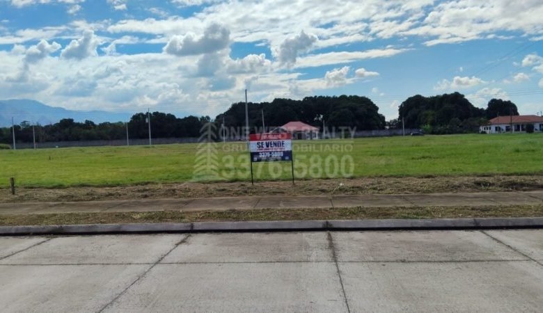 780