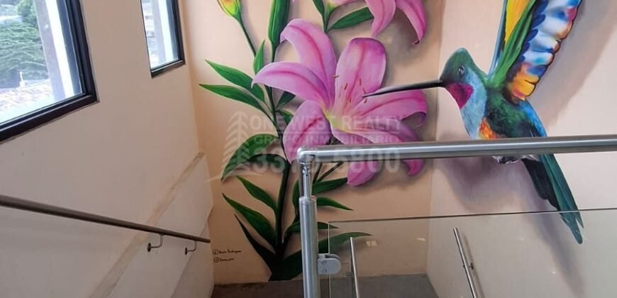 Se Vende Edificio Comercial en El  Centro de Santa Barbara-Alta Plusvalía y Ubicación estrátegica Cap Rate 15.4%