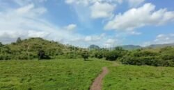 50 Manzanas en Venta en Aldea La Rosa, Yoro, Honduras | One West Realty