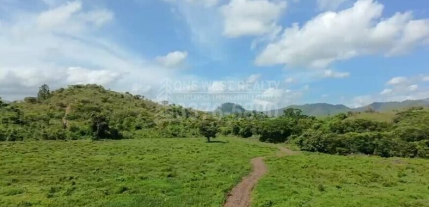 50 Manzanas en Venta en Aldea La Rosa, Yoro, Honduras | One West Realty