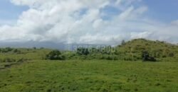 50 Manzanas en Venta en Aldea La Rosa, Yoro, Honduras | One West Realty