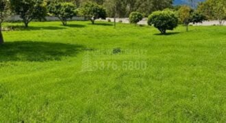 Terrenos disponible en Barrio Los Angeles, Tegucigalpa