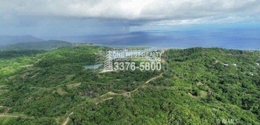 Oak Ridge Homes and Condos: complejo frente al mar en Punta Blanca, Roatán