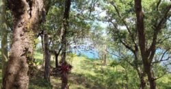 Oak Ridge Homes and Condos: complejo frente al mar en Punta Blanca, Roatán