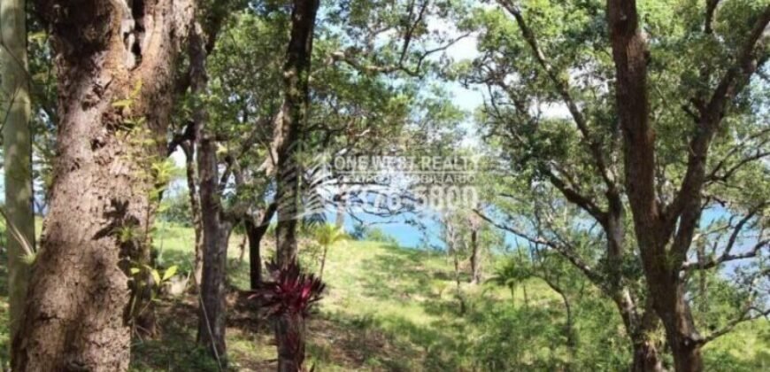 Oak Ridge Homes and Condos: complejo frente al mar en Punta Blanca, Roatán