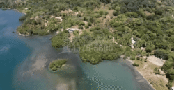 Terreno en Venta en Roatán | 9 Acres para Inversión Terreno en Venta en Roatán | 9 Acres para Inversión