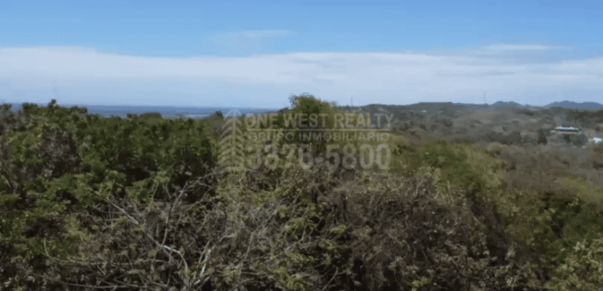 Terreno en Venta en Roatán | 9 Acres para Inversión