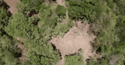 Terreno en Venta en Roatán | 9 Acres para Inversión Terreno en Venta en Roatán | 9 Acres para Inversión