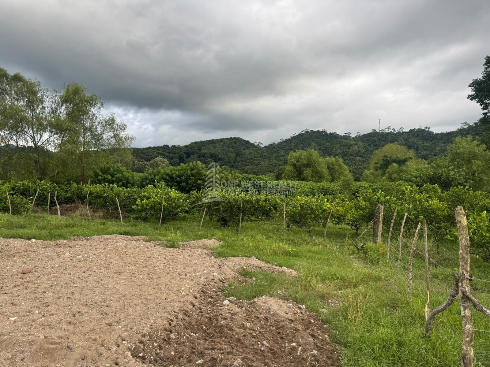 Terreno en Venta en Aldea La 36, Guaymas, El Negrito, Yoro