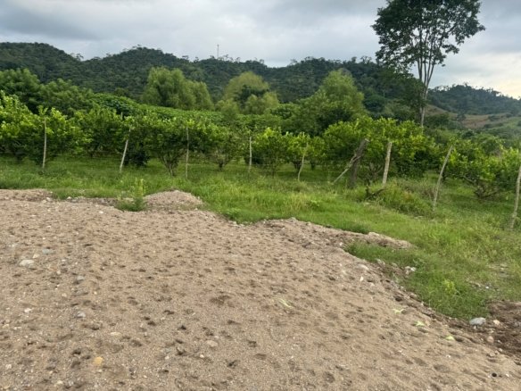 Terreno en Venta en Aldea La 36, Guaymas, El Negrito, Yoro